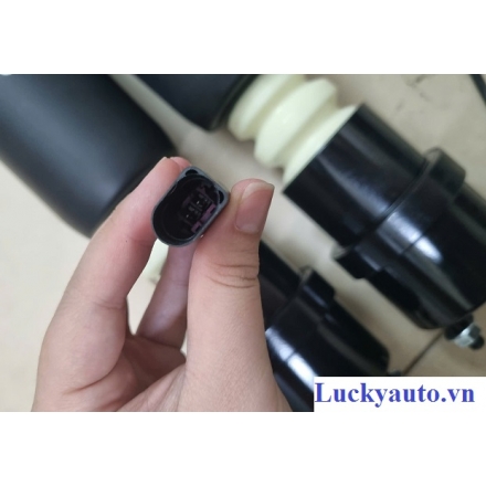 Giảm xóc sau xe Bentley Mulsanne 2016_ 3Y5513029K  