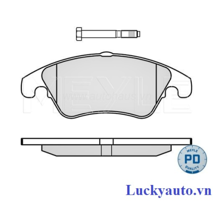 Má phanh trước xe Mercedes E250 đời 2015_ 0252431019/PD