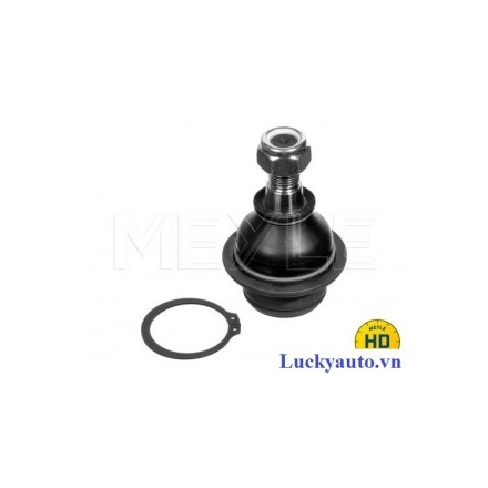 RÔ TUYN ĐỨNG XE FORD