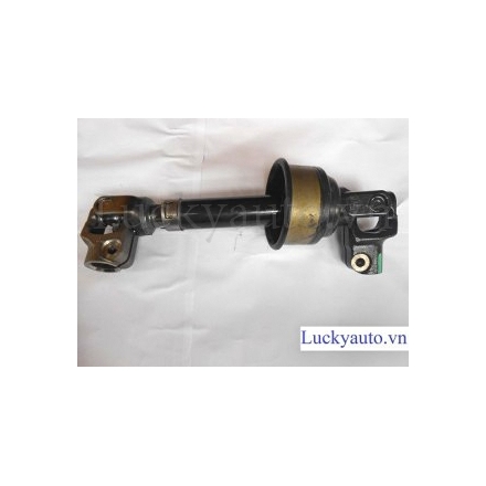 Các đăng lái xe Lexus RX350