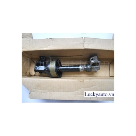 Các đăng lái xe Lexus RX350